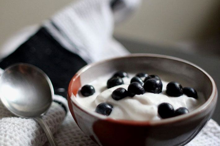 BOL DE YOGUR CON FRUTAS